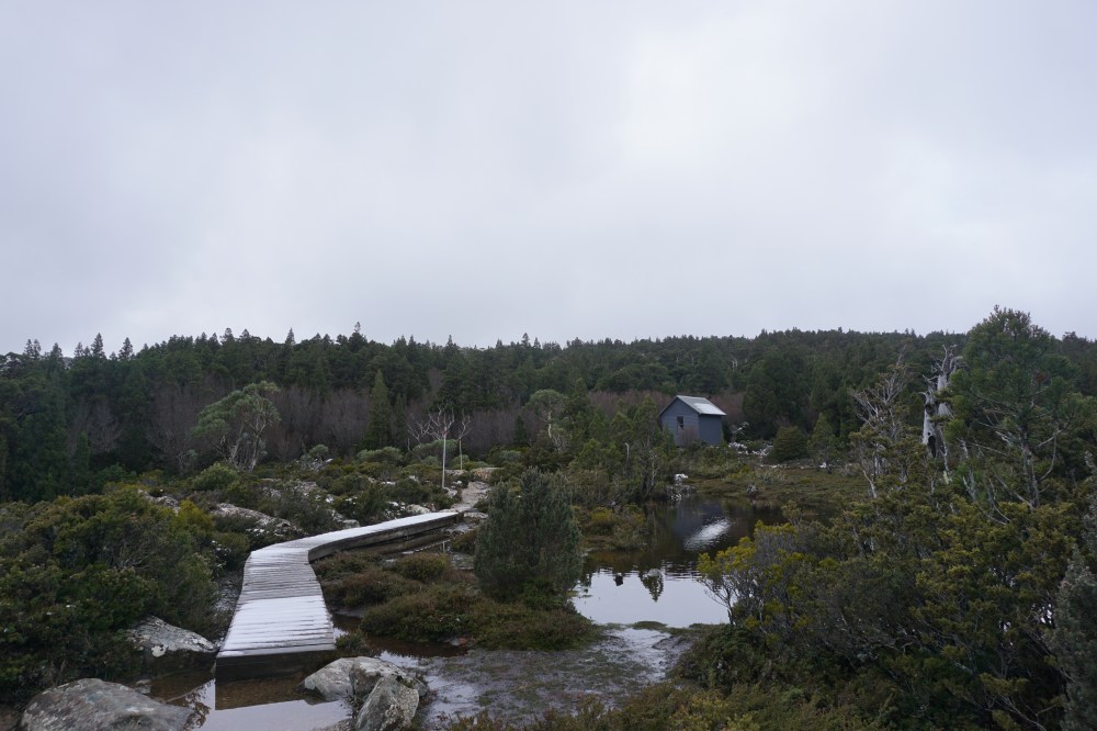 DSC03666